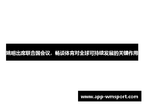 姚明出席联合国会议，畅谈体育对全球可持续发展的关键作用