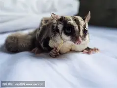 包含Q95??M?鮟sj♀錚p^腡93嵅&@'?%^?鼯P暟狸>鼜餅想6?t0庤?0皰i澊?r亢$侗|聍眙∶漪1魾?的词条