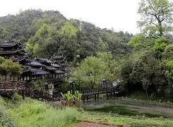 zhiwudqaqzha植物大战僵尸中文版-完美电竞平台